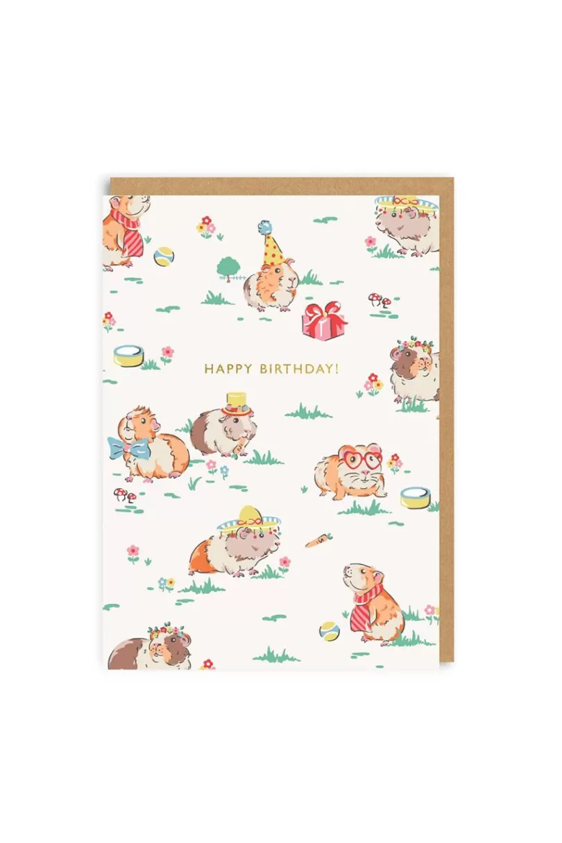 Cheap Guinea Pig Birthday Greeting Card (A6) Stationery