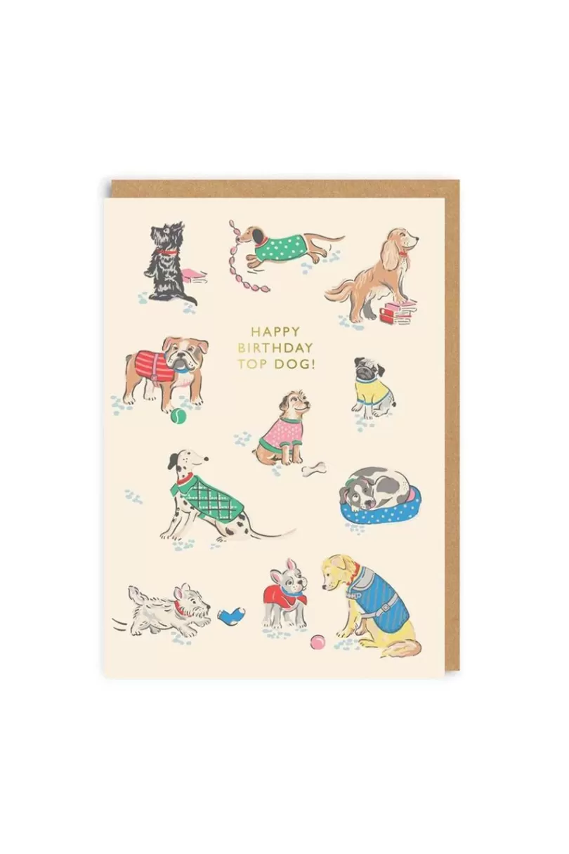 Outlet Happy Birthday Top Dog Greeting Card (A6) Stationery